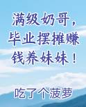 满级奶哥,毕业摆摊赚钱养妹妹笔阁网