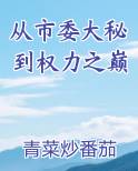 从市委大秘到权力之巅推荐小说