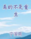 真的不是重生原著小说