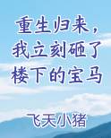 重生归来，我立刻砸了楼下的宝马免费下载
